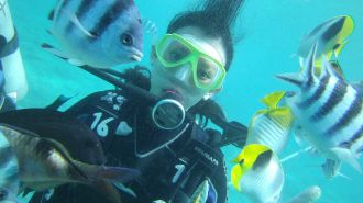 關島免執照體驗潛水 Scuba Diving