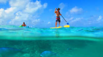 關島立槳&獨木舟體驗 Stand Up Paddle & Kayak