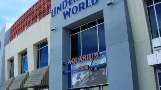 關島海底世界水族館 Under Water World