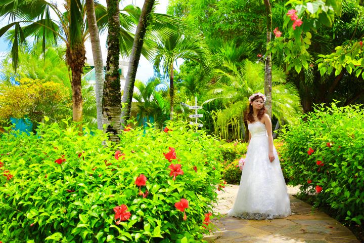 圖片提供/ World Bridal Taiwan