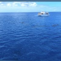 關島ABC海灘俱樂部(暫停營業)