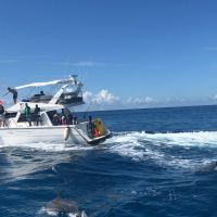 關島美人魚公主號出海行程