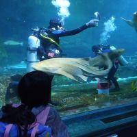 關島海底世界水族館